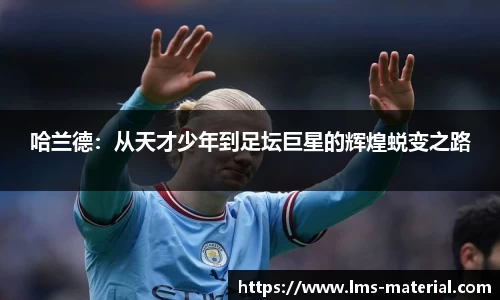 zoty中欧